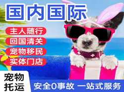 郑州航空物流国际宠物托运 【国